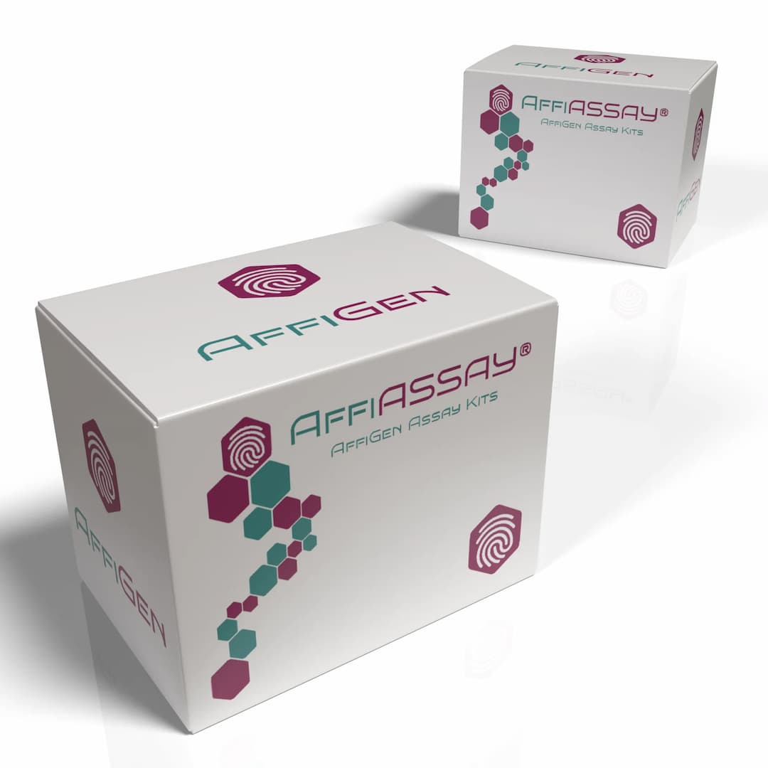 AffiASSAY® GAPDH Colorimetric Activity Assay Kit