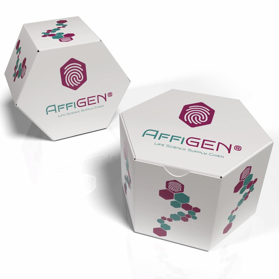 AffiNANOTECH® PDP-Pfp