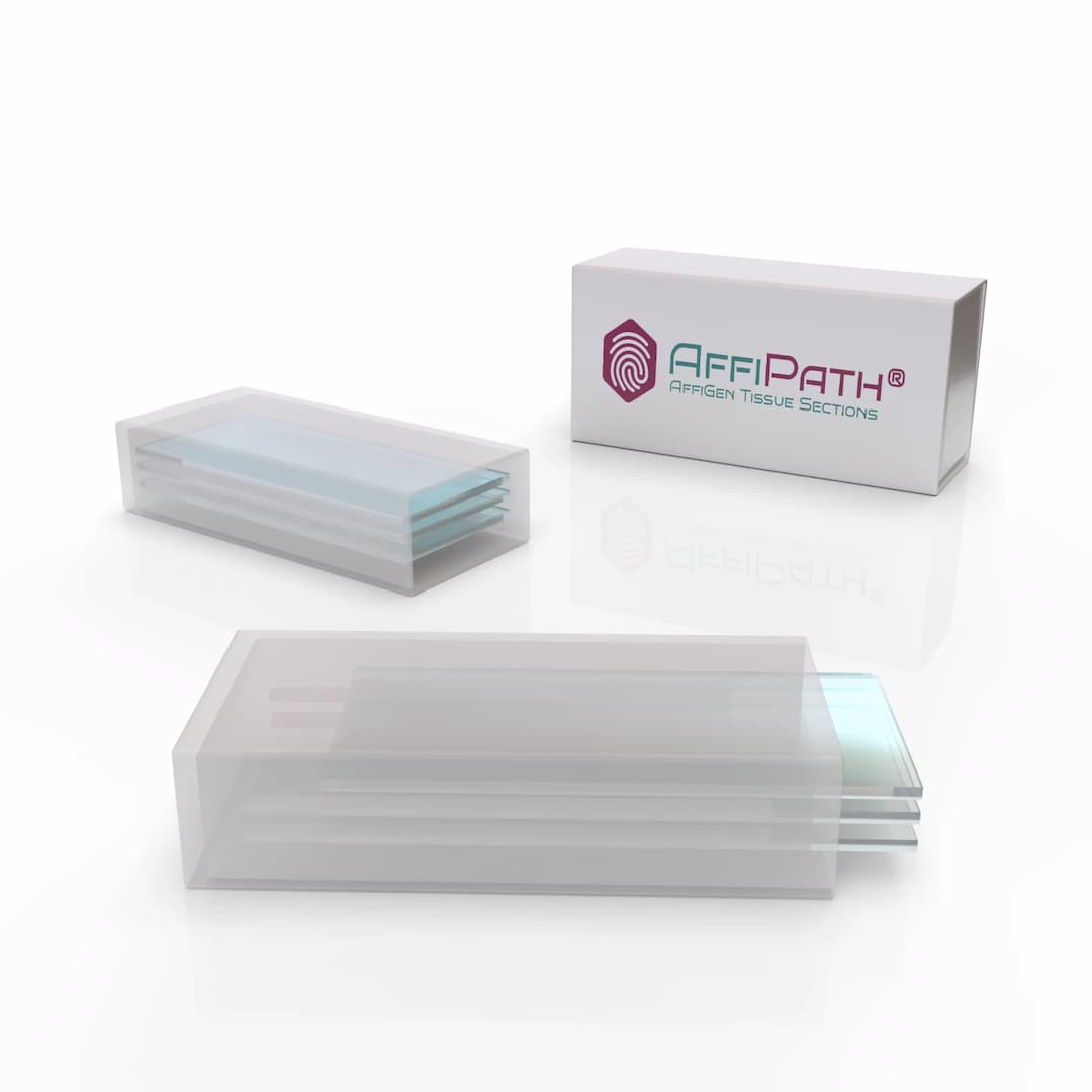 AffiPATH®​ FDA Standard Frozen Tissue Array - Mouse Normal