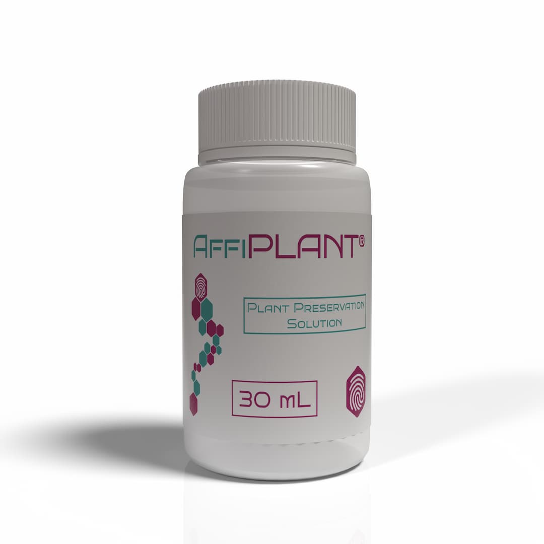AffiPLANT® Cape Sundew/Venus Fly Trap Tissue Culture Kit