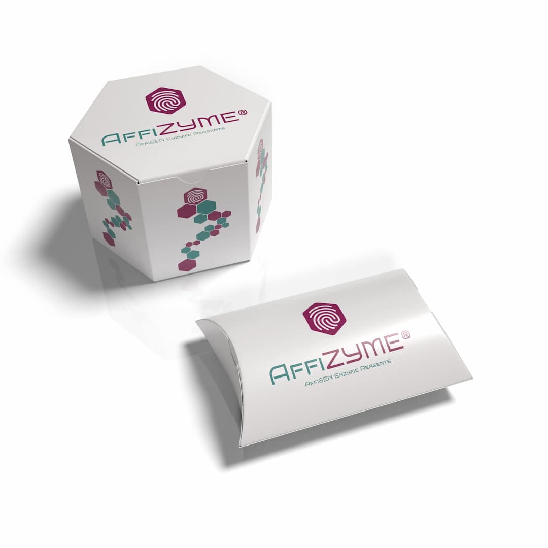 AffiZYME® Pyrophosphatase, Inorganic GMP-grade (1 U/μL)