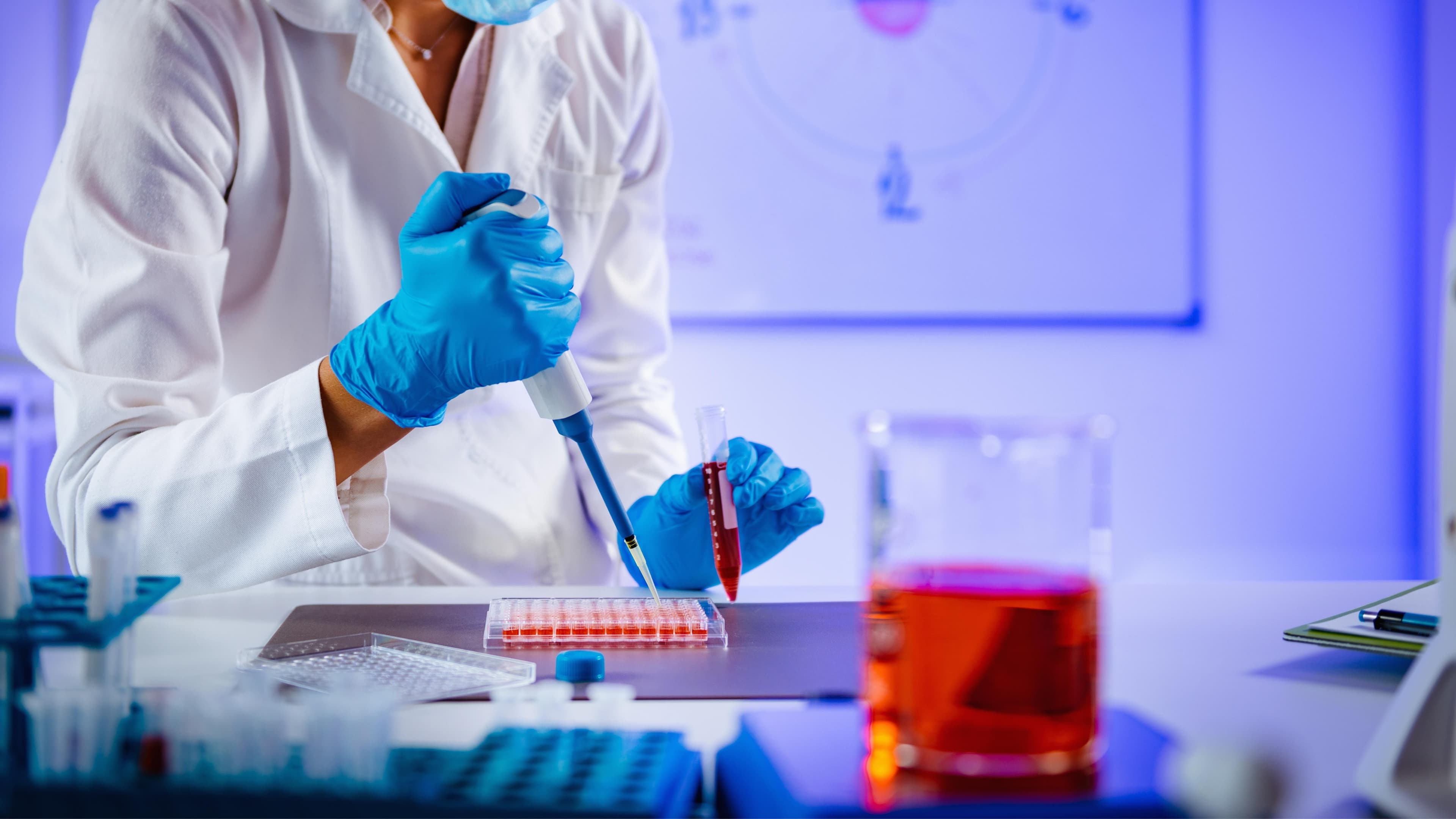 affiplasmid AffiPLASMID® p3*Flag-DDX55 Plasmid affiplasmid - AffiPLASMID® p3*Flag-DDX55 Plasmid | High-Quality Biotechnology Research Product