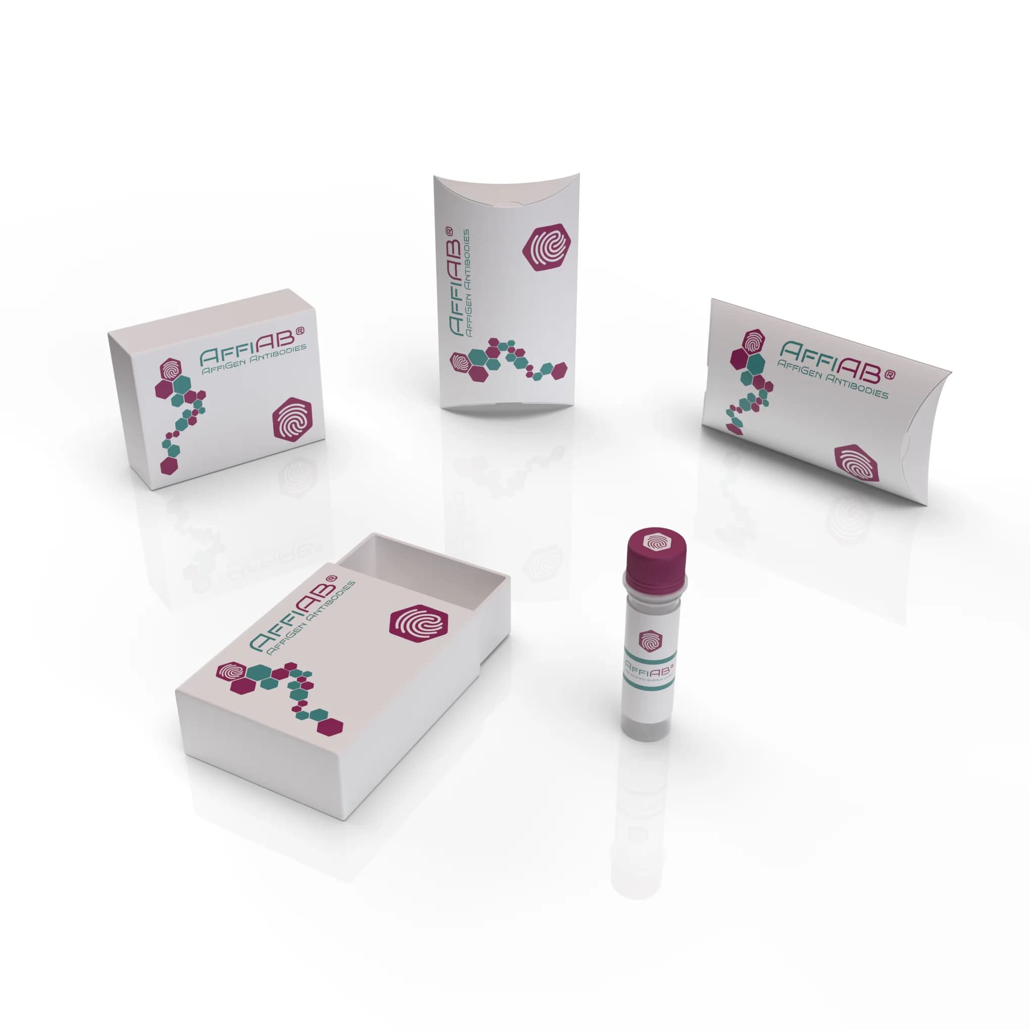 AffiAB AffiAB® Anti-PCLO Purified AffiAB - AffiAB® Anti-PCLO Purified | High-Quality Biotechnology Research Product