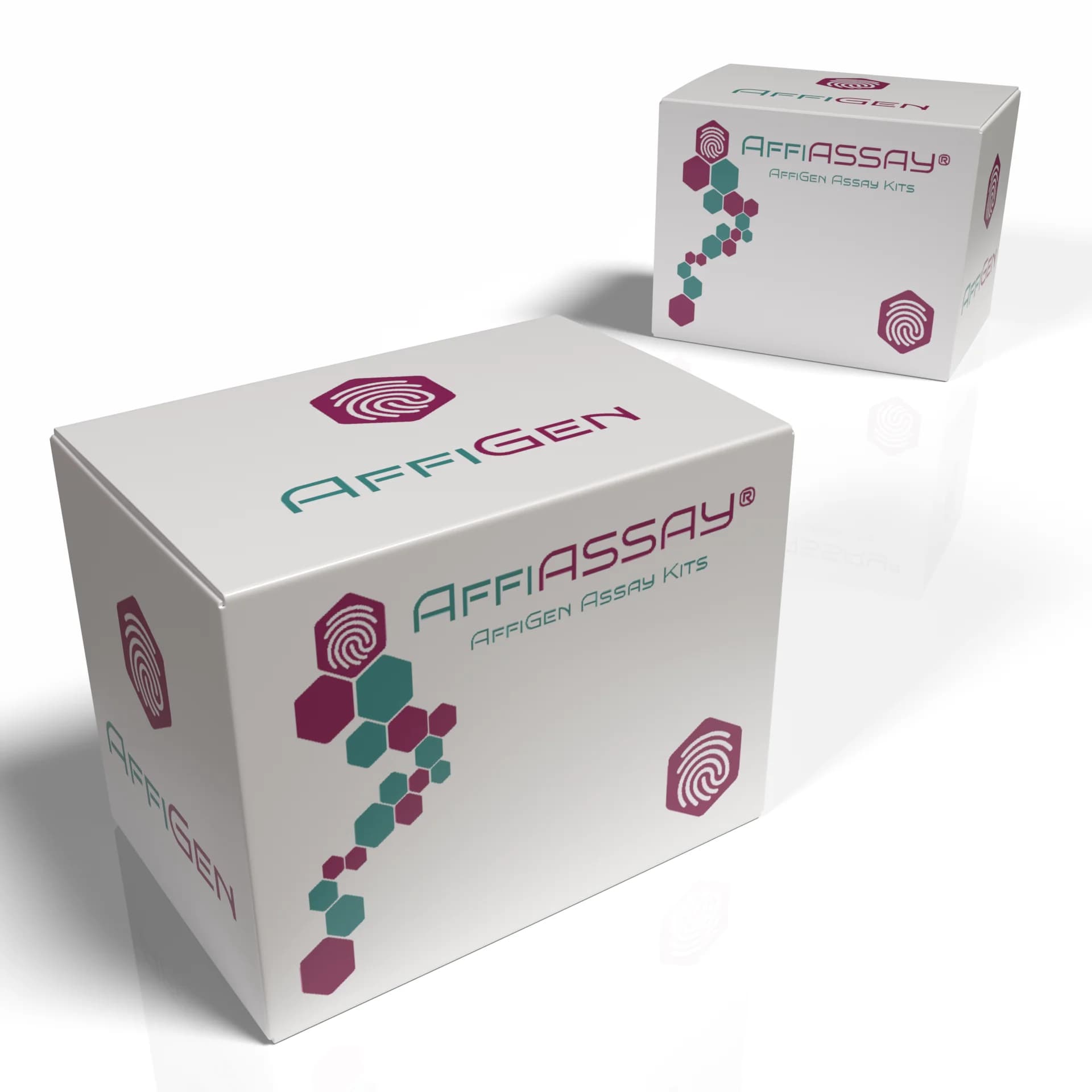AffiASSAY AffiASSAY® Oxalate Oxidase Activity Assay Kit (Fluorometric) AffiASSAY - AffiASSAY® Oxalate Oxidase Activity Assay Kit (Fluorometric) | High-Quality Biotechnology Research Product