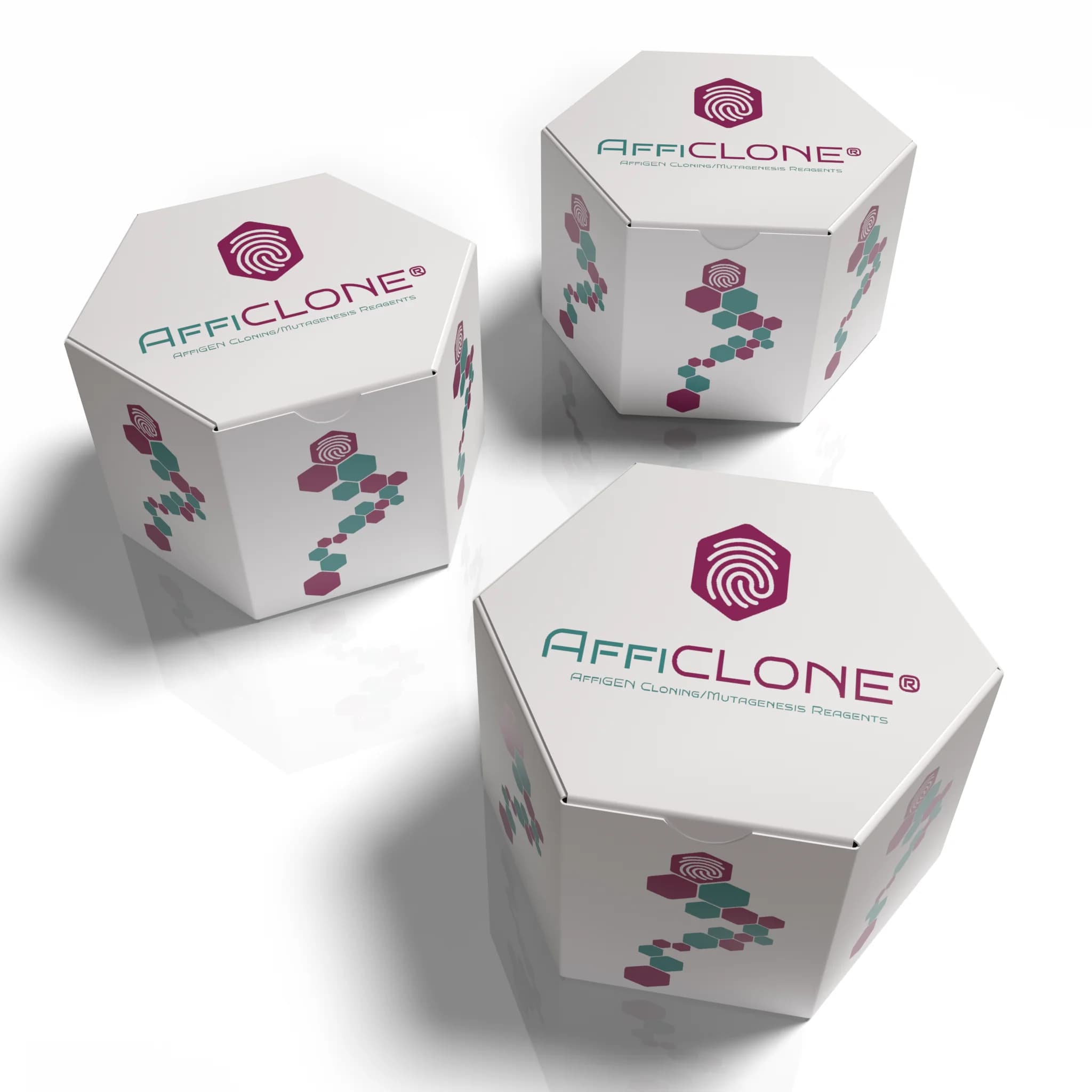 afficlone - AffiCLONE® Ultra One Step Cloning Kit | High-Quality Biotechnology Research Product