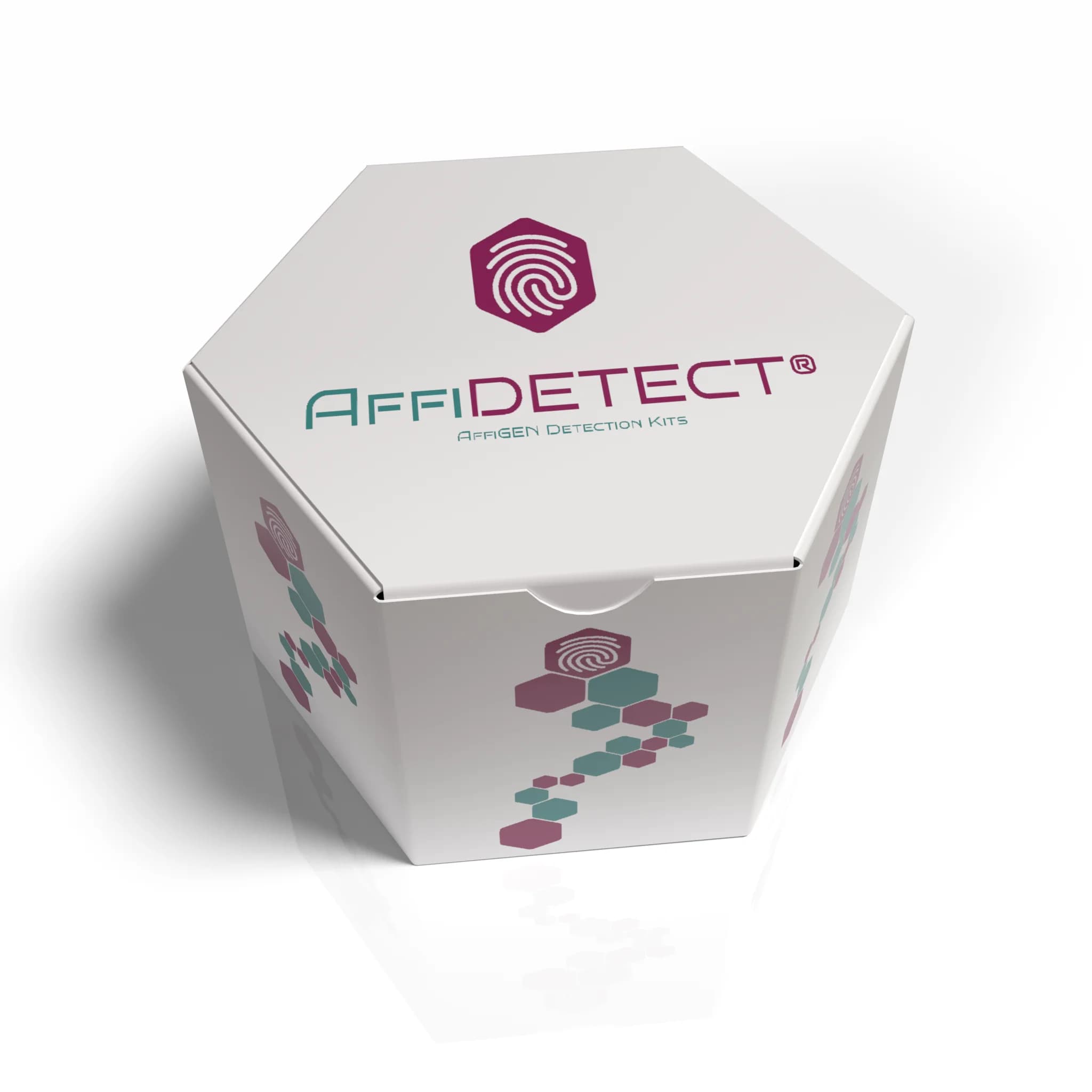 AffiDETECT - AffiDETECT® Annexin V-FITC Apoptosis Detection Kit | High-Quality Biotechnology Research Product