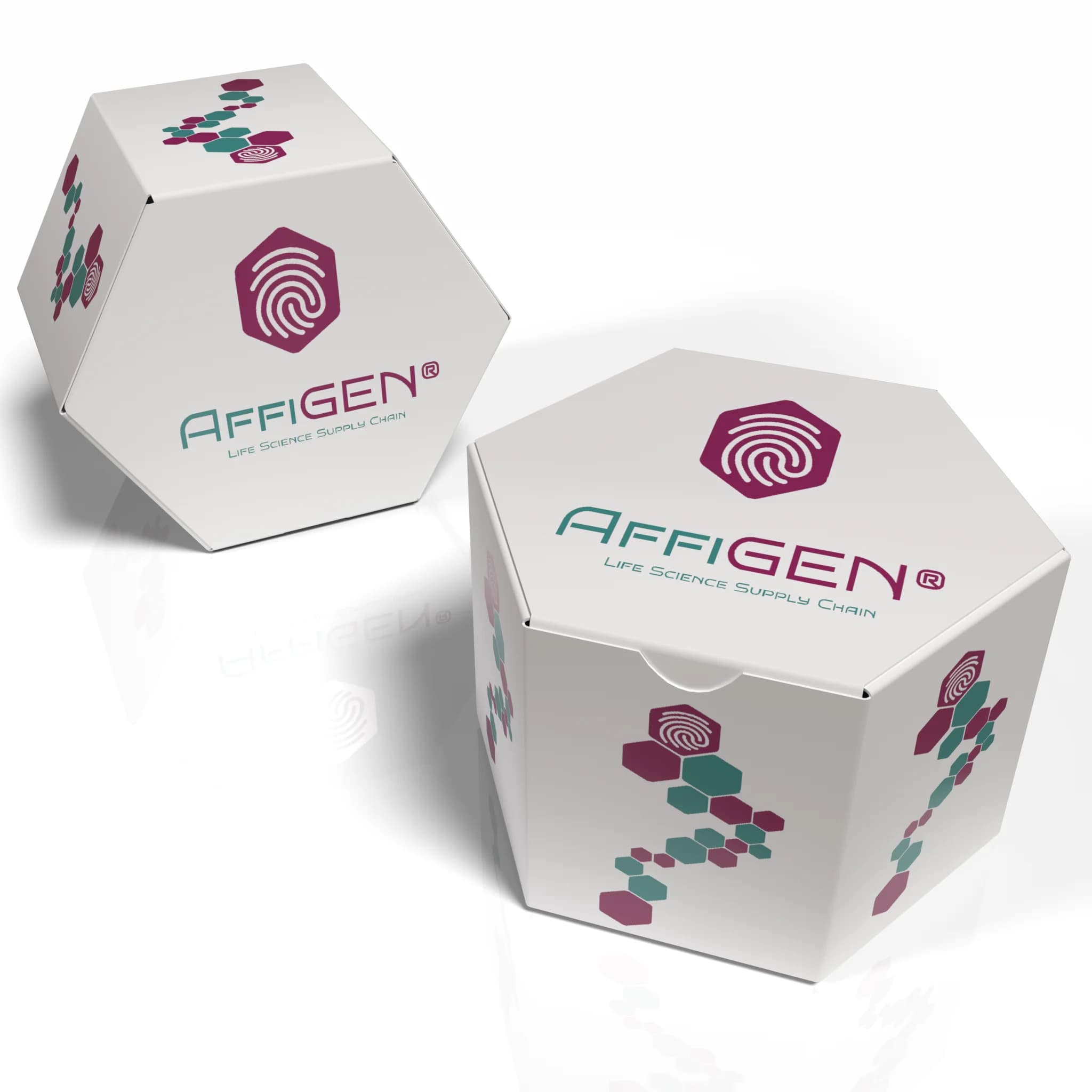AffiGEN AffiGEN® Recombinant human Cbp / PAG AffiGEN - AffiGEN® Recombinant human Cbp / PAG | High-Quality Biotechnology Research Product