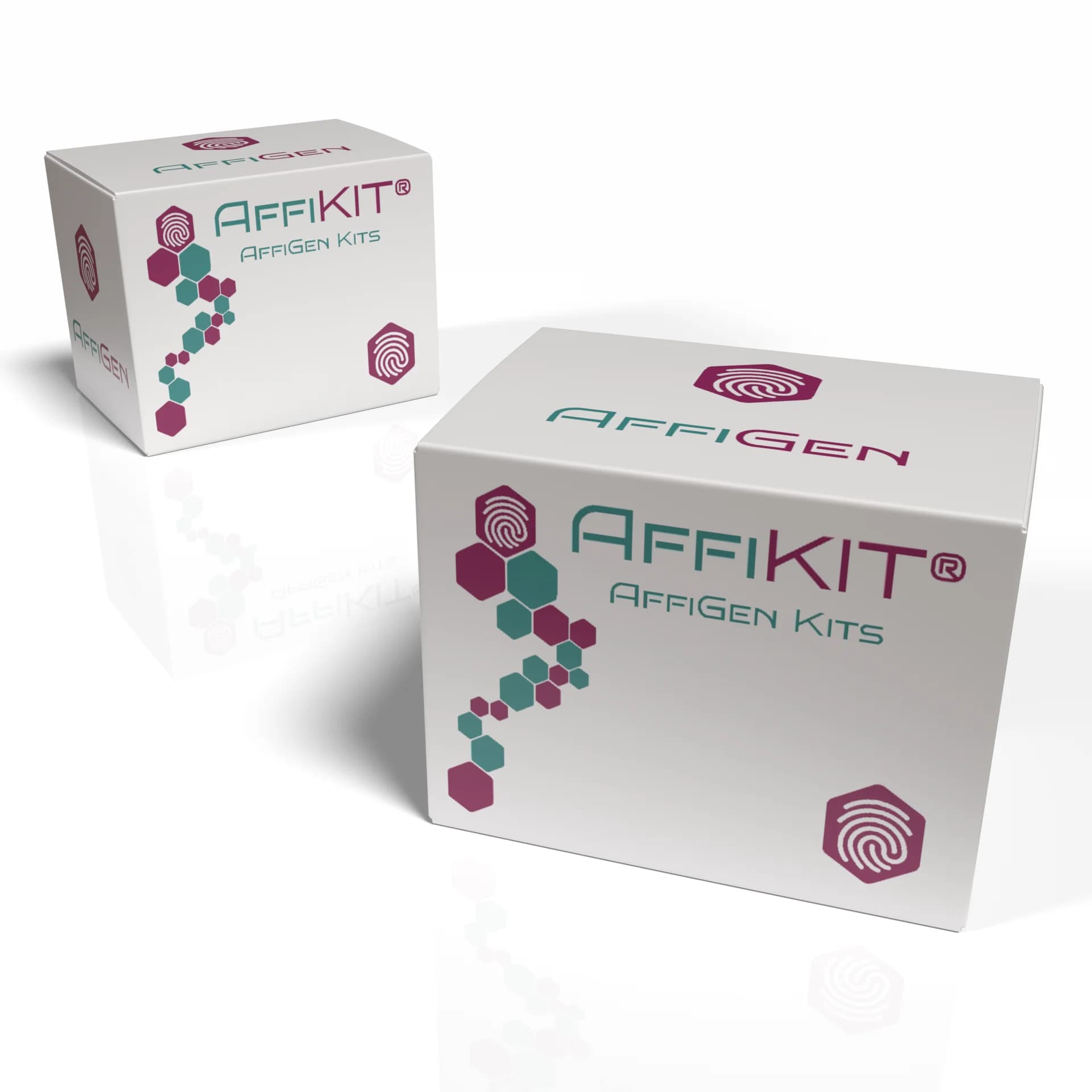 affikit - AffiKIT® AAV-DJ Helper Free Expression System | High-Quality Biotechnology Research Product