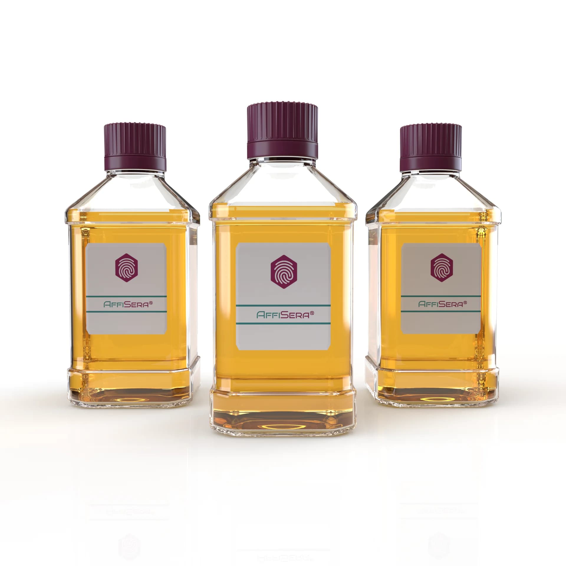 affisera - AffiSERA® Beagle Ctrl Plasma Cpd 100 mL | High-Quality Biotechnology Research Product