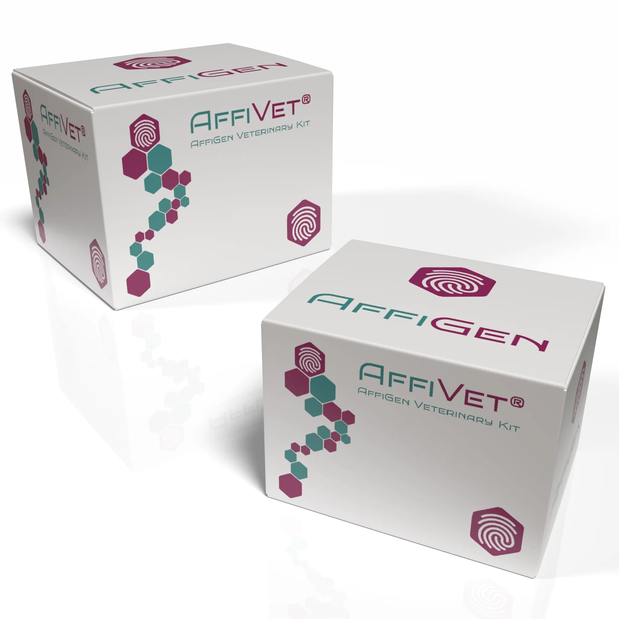 affivet - AffiVET® Nitrofuran AOZ/AMOZ/AHD/SEM 4-in-1 QuaTest | High-Quality Biotechnology Research Product