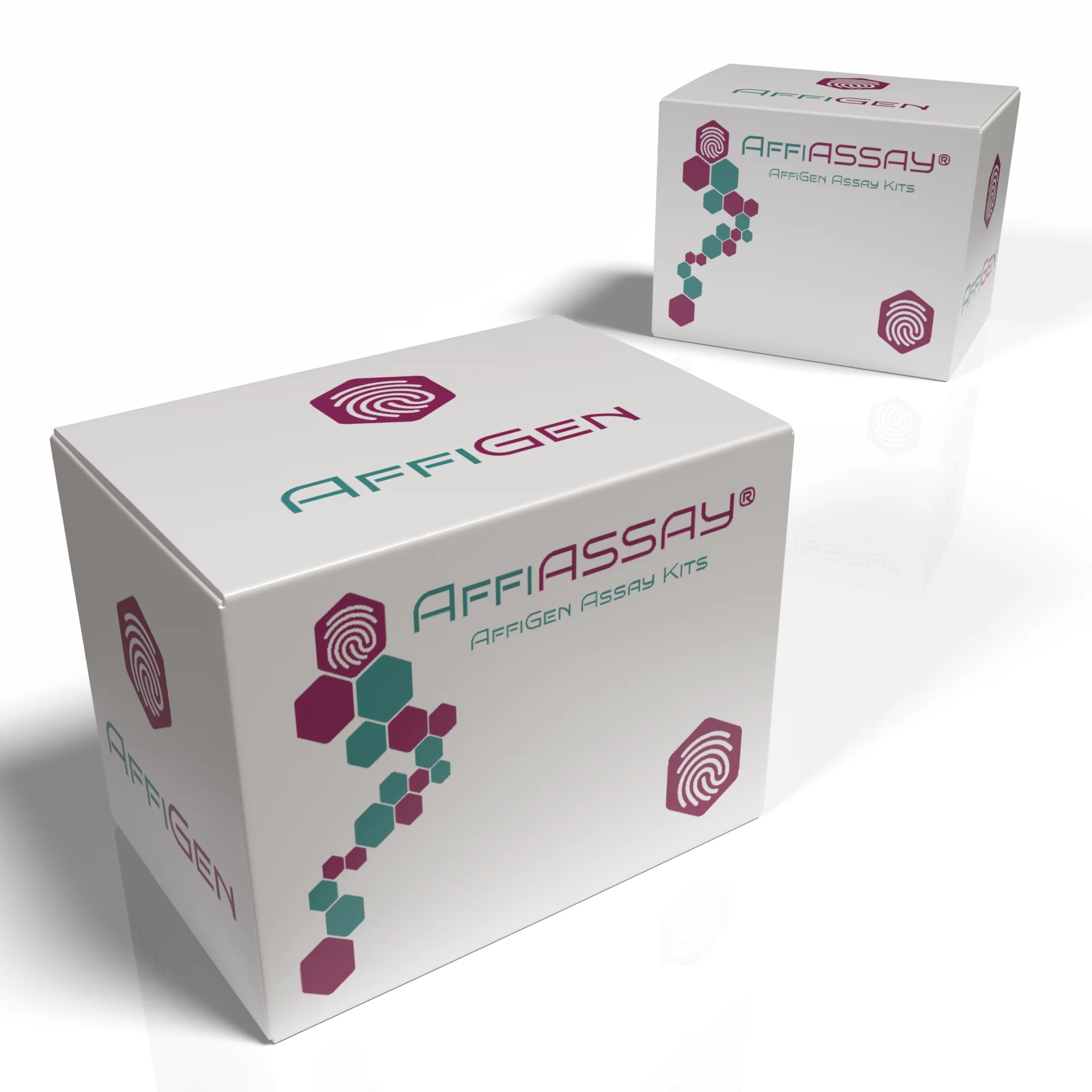 AffiAssay® Mouse Fractalkine  ( CX3CL1) 