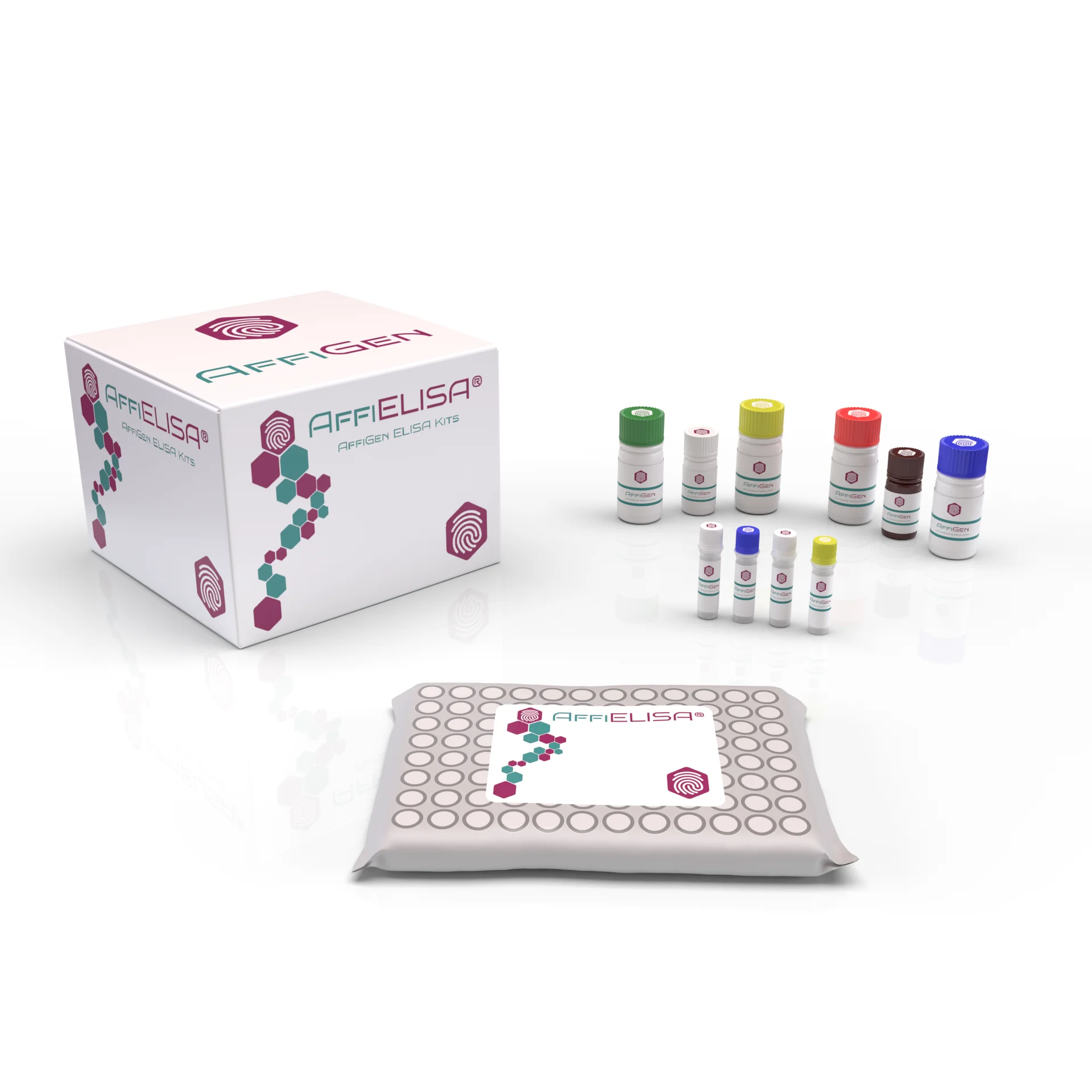 AffiELISA® Human SCAND3 Kit: Max Sensitivity SCAN Domain Containing Protein 3 ELISA Detection